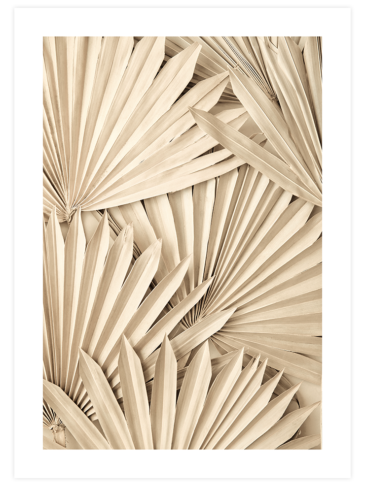 Beige Style Poster seti