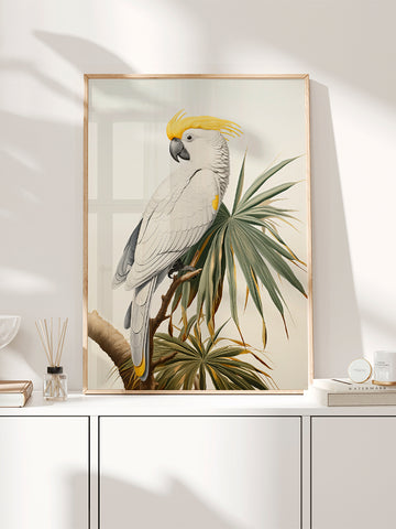 Beyaz Papağan - Art Print