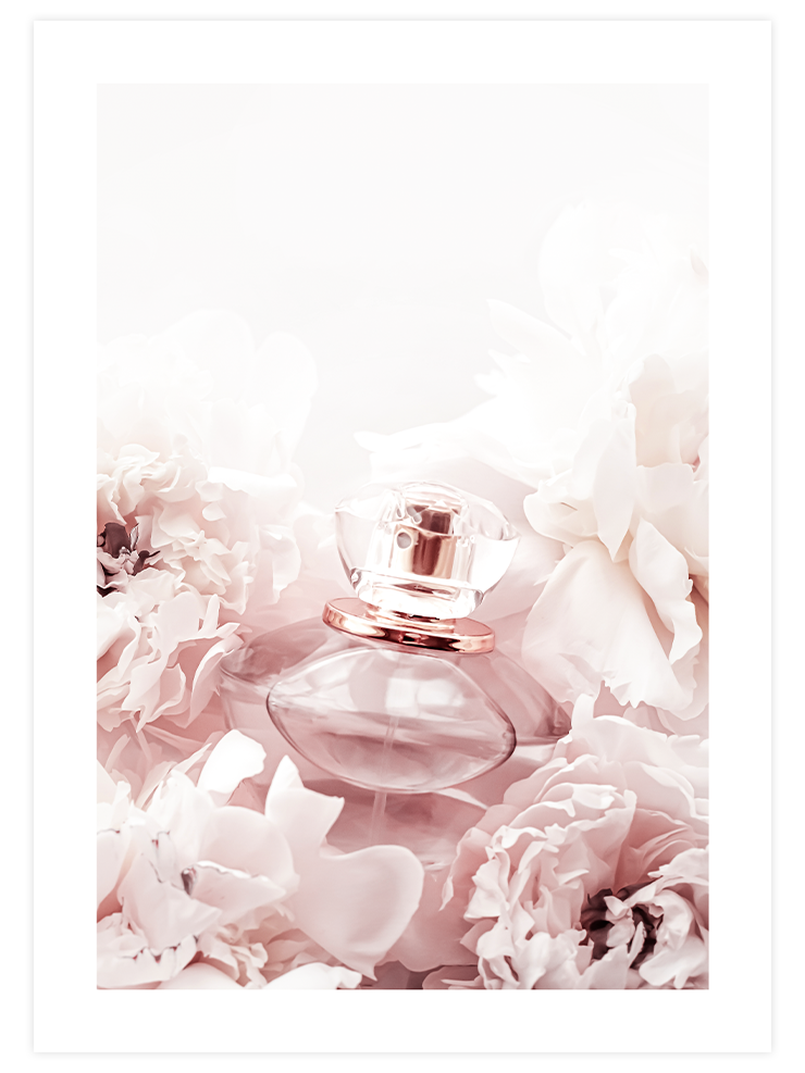 Pink Touch Poster Seti  Poster