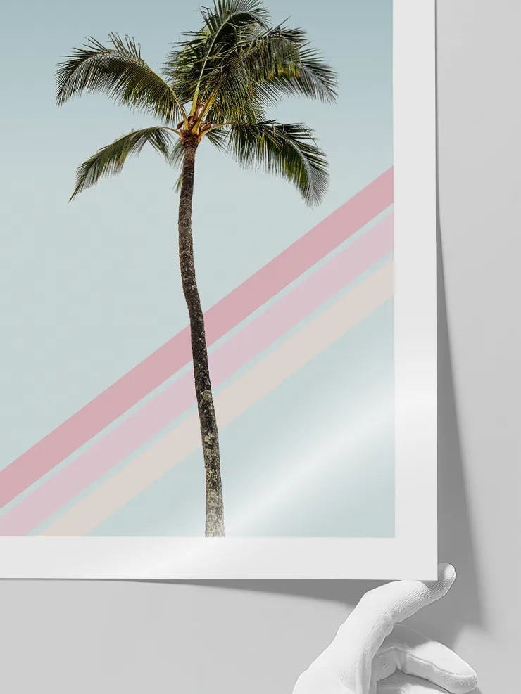 Minimal palmiye ve pembe şerit posteri