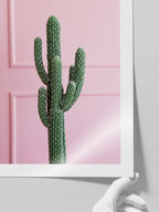 Chic Cactus - Art Print