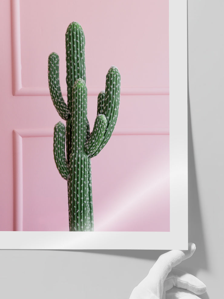 Chic Cactus - Art Print  Poster