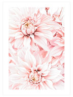 Quiet Moment Rose - Art Print