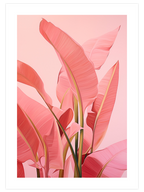 Pink Wild - Poster Seti Duo