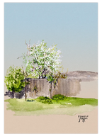 Egon Schiele Garden with Tree - Art Print