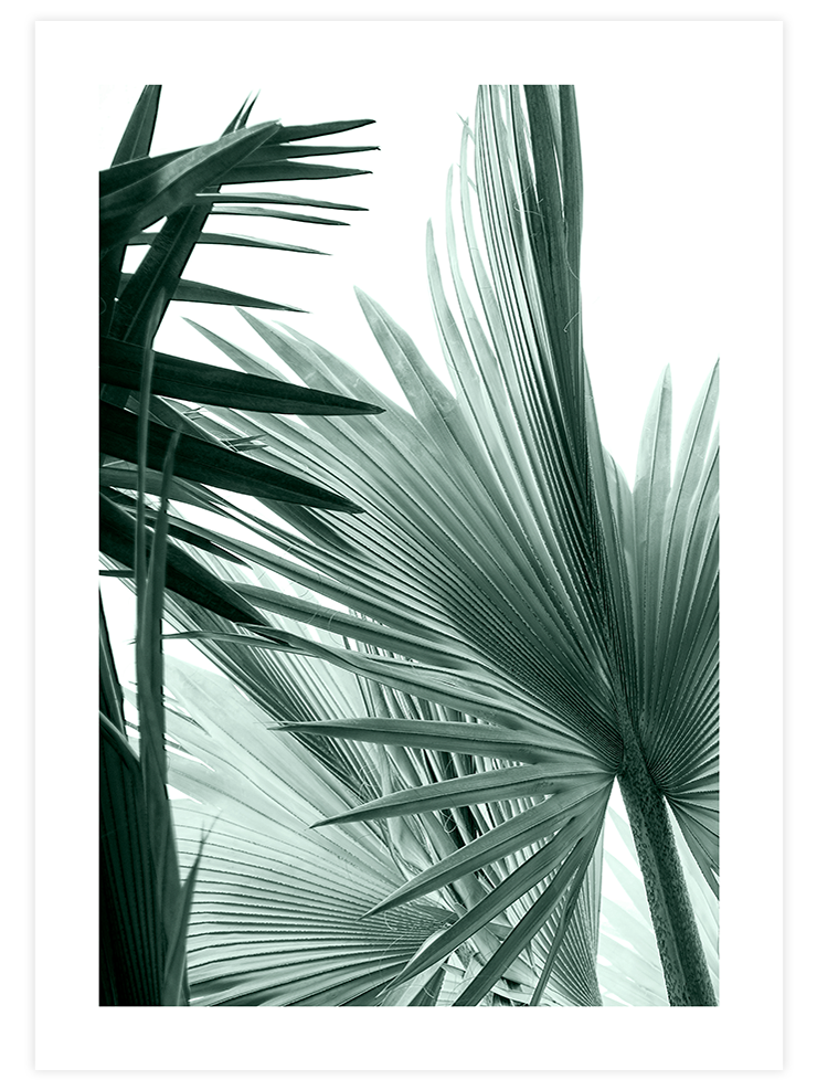 Green & Beige Touch - Poster Seti