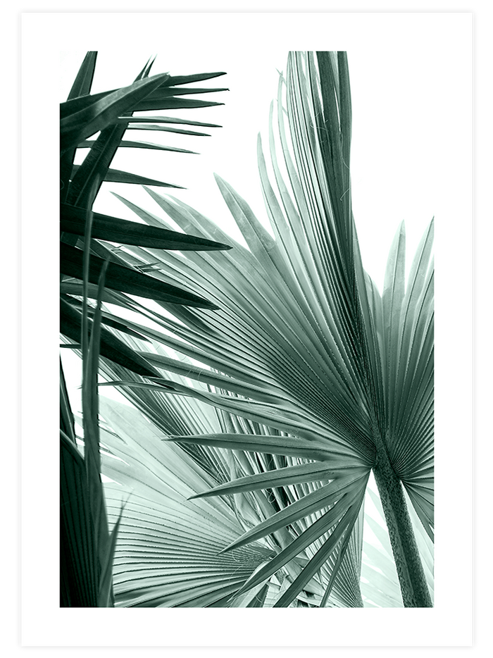 Green & Beige Touch - Poster Seti  Poster