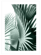 Green & Beige Touch - Poster Seti