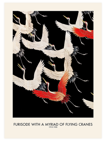 Geisha & Birds - Poster Seti Duo