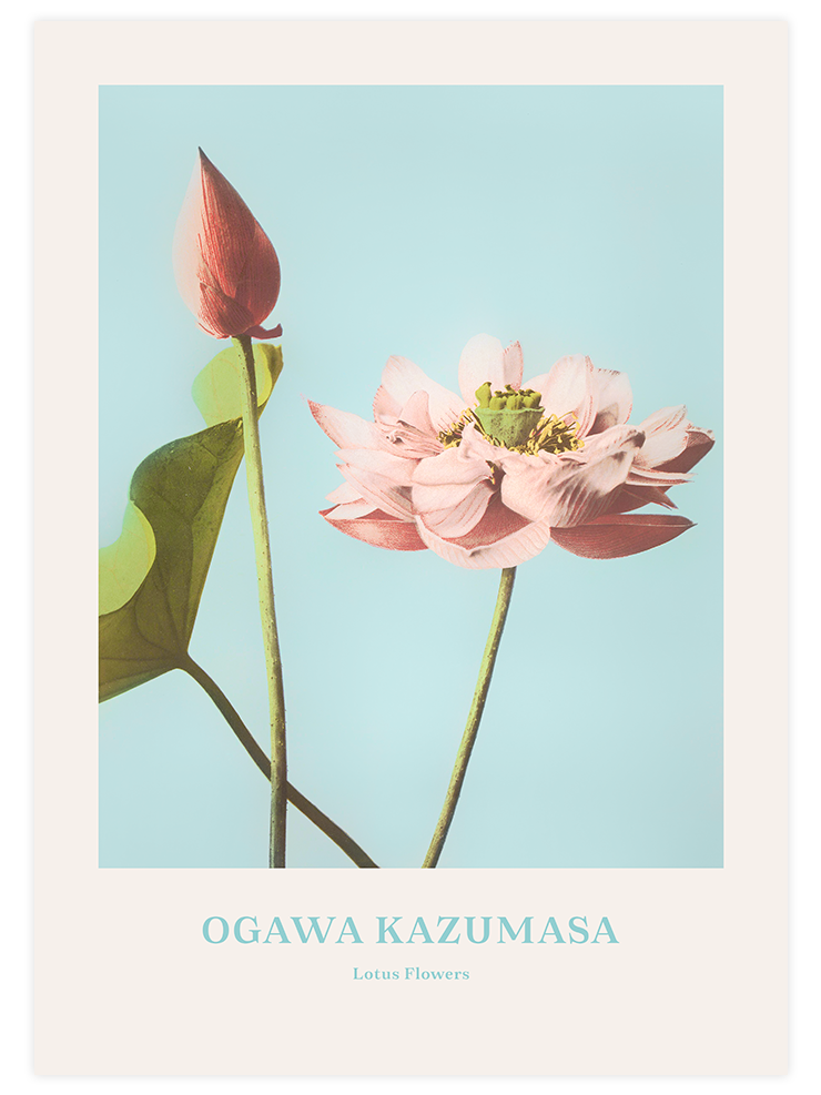 Ogawa Kazumasa Flowers - Poster Seti Duo