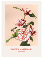 Ogawa Kazumasa Flowers - Poster Seti Duo