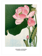 Ohara Koson Iris & Lotus - Poster Seti Duo