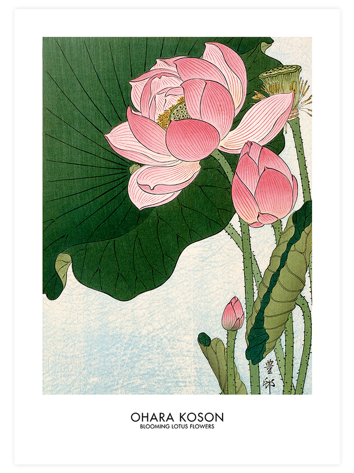 Ohara Koson Iris & Lotus - Poster Seti Duo  Poster