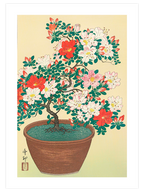 Ohara Koson Flowers - Poster Seti Duo