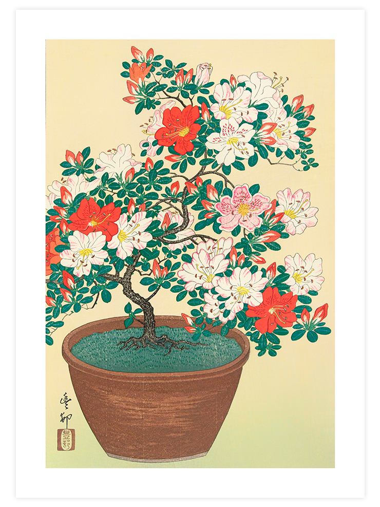 Ohara Koson Flowers - Poster Seti Duo  Poster