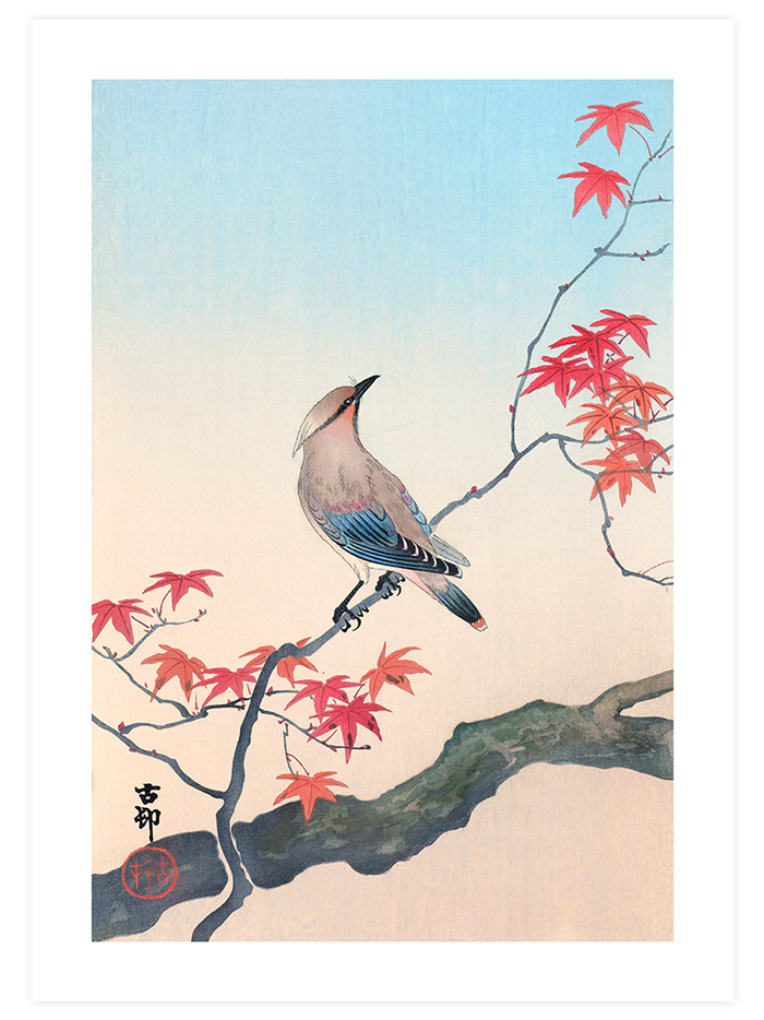 Ohara Koson Birds - Poster Seti Duo  Poster