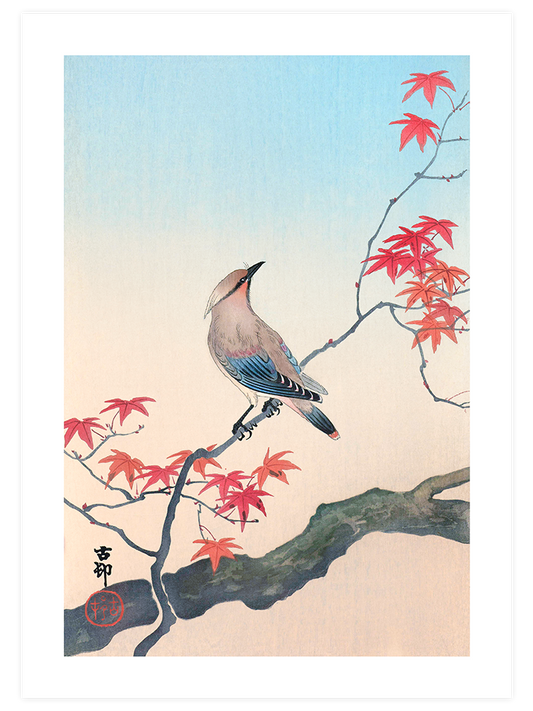 Ohara Koson Birds - Poster Seti Duo