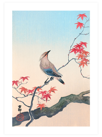 Ohara Koson Birds - Poster Seti Duo