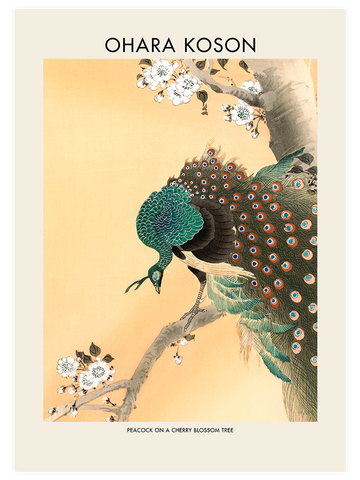 Ohara Koson Cherry Blossom - Poster Seti Duo