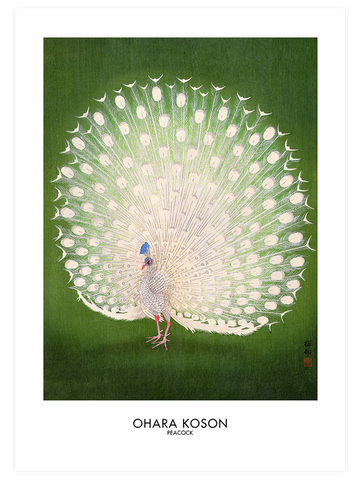 Ohara Koson Peacock & Moonlit - Poster Seti Duo