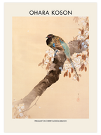 Ohara Koson Cherry Blossom - Poster Seti Duo