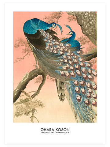 Ohara Koson Peacocks & Moon Light - Poster Seti Duo