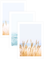 Abundance - Poster Seti Trio