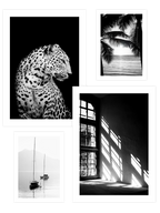 Black & White Touch Poster Seti