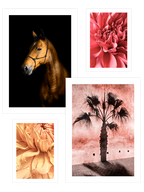 Color Power Poster Seti