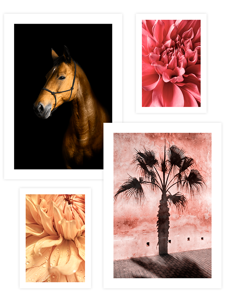 Color Power Poster Seti