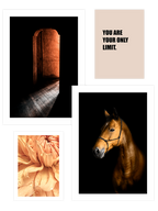 Orange Touch Poster Seti