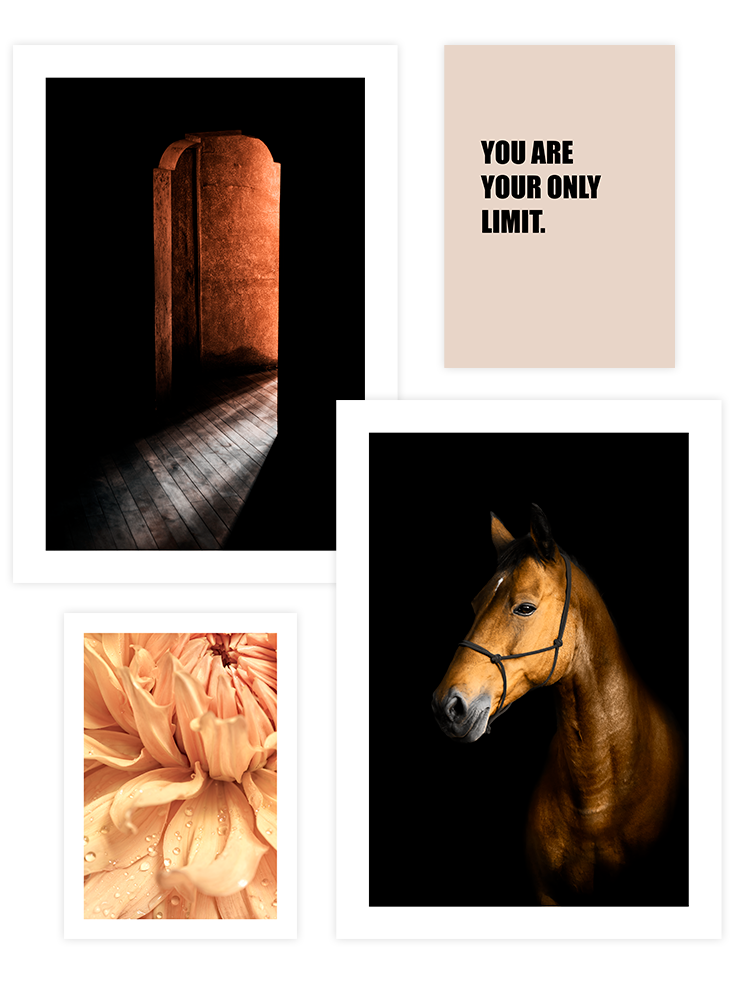 Orange Touch Poster Seti