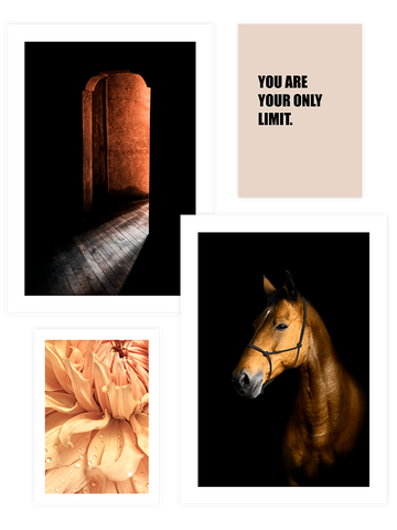 Orange Touch Poster Seti
