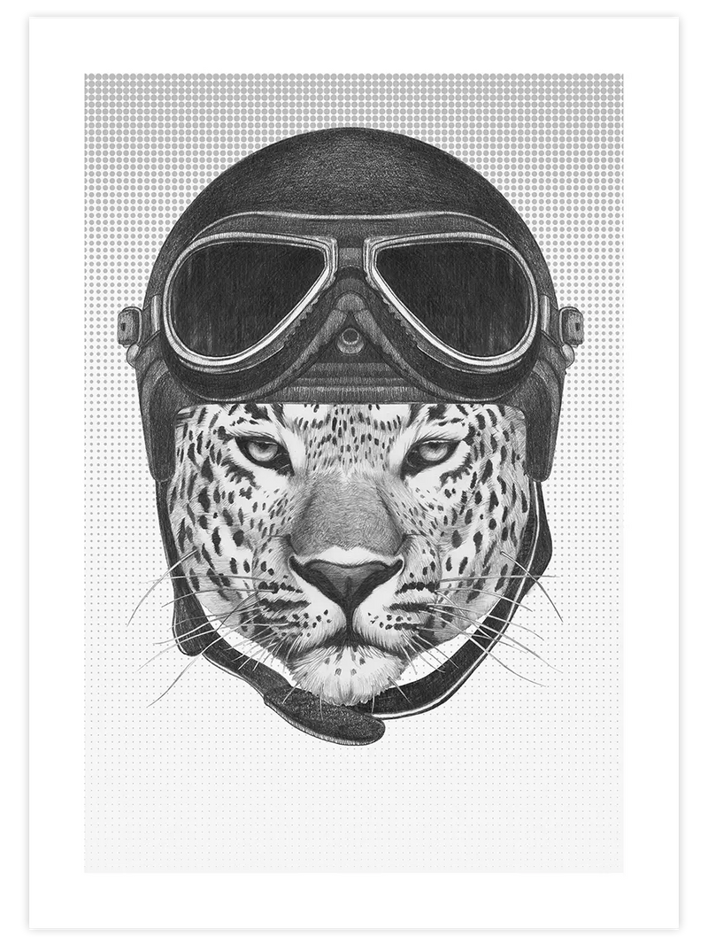 Leopar Pilot - Art Print Çocuk Odası Poster