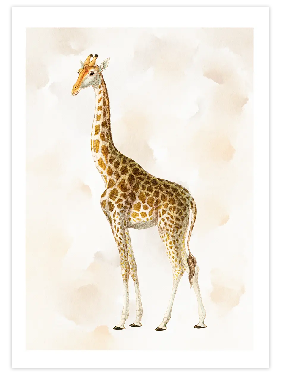 Zürafa N1 - Art Print