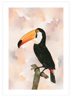 Tukan - Art Print
