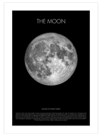 Moon - Art Print