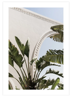 Banana Tree - Art Print