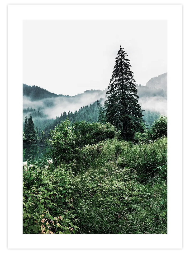 Nefes - Art Print Fotoğraflar Poster