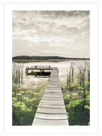 Path to Silence - Art Print