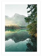 Nature Vibes 2 - Art Print