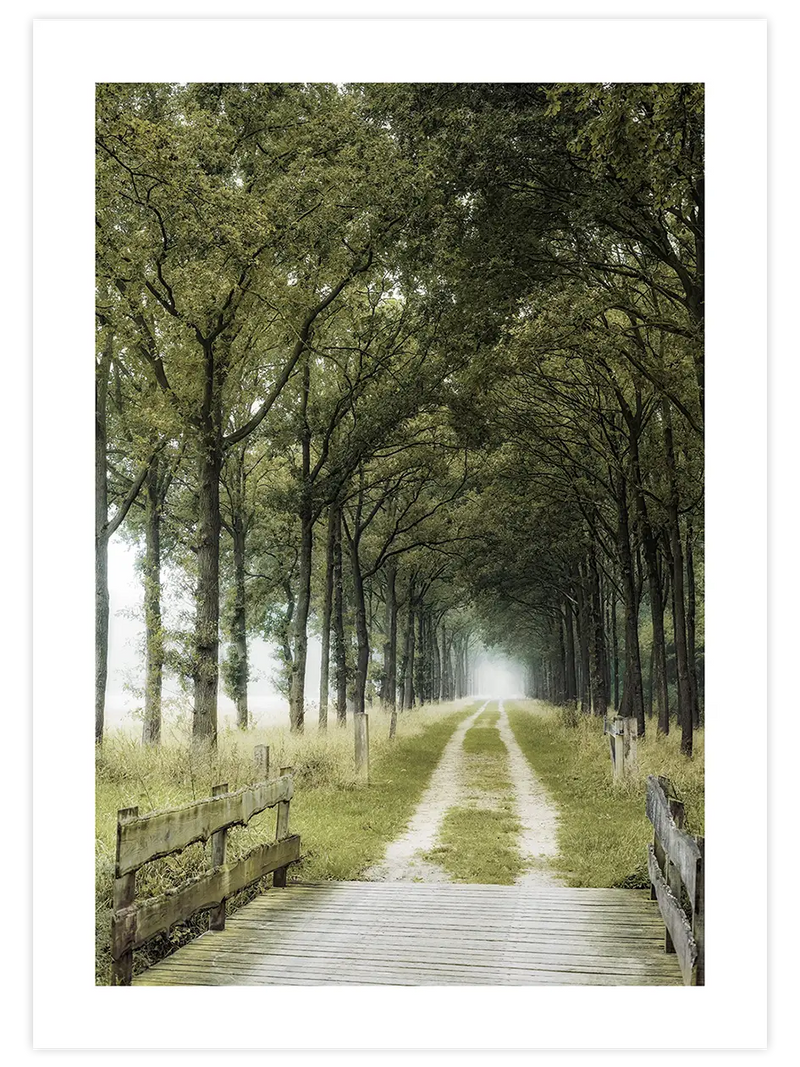 Patika Yol - Art Print Fotoğraflar Poster
