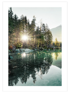 Nature Vibes - Art Print