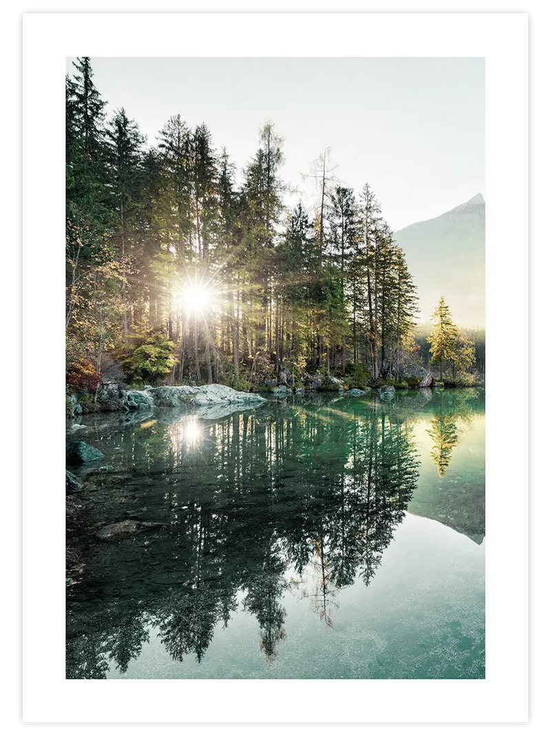 Nature Vibes - Art Print Fotoğraflar Poster