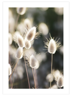 Sessizliğin Güzelliği - Art Print