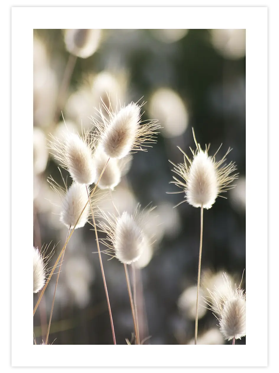 Sessizliğin Güzelliği - Art Print