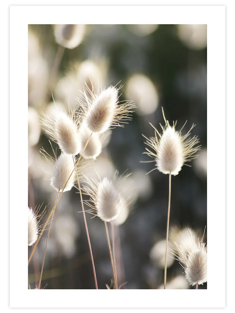 Sessizliğin Güzelliği - Art Print Fotoğraflar Poster