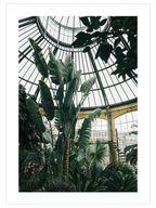 Tropikal Sera - Art Print