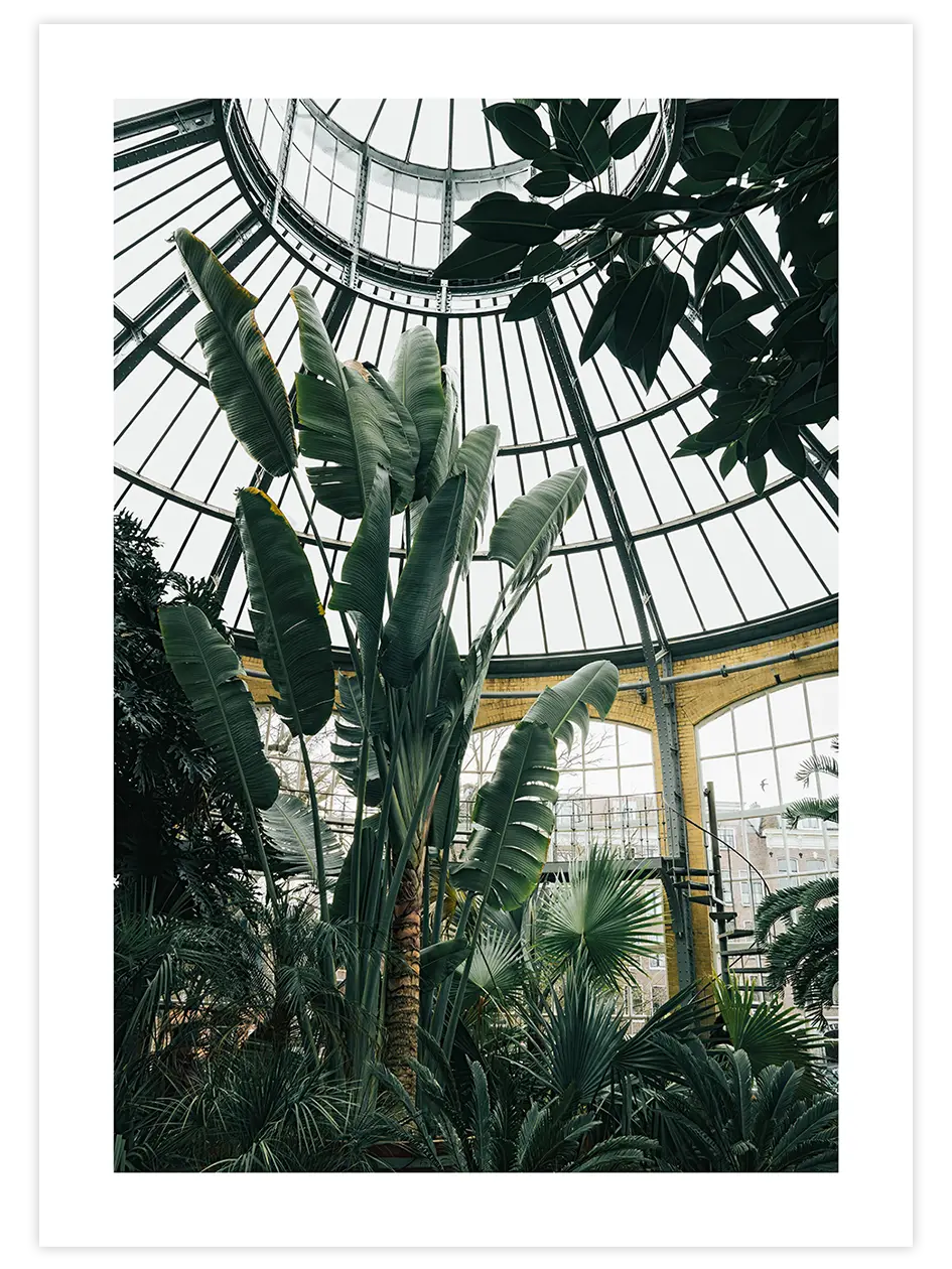 Tropikal Sera - Art Print Ürün ana görseli