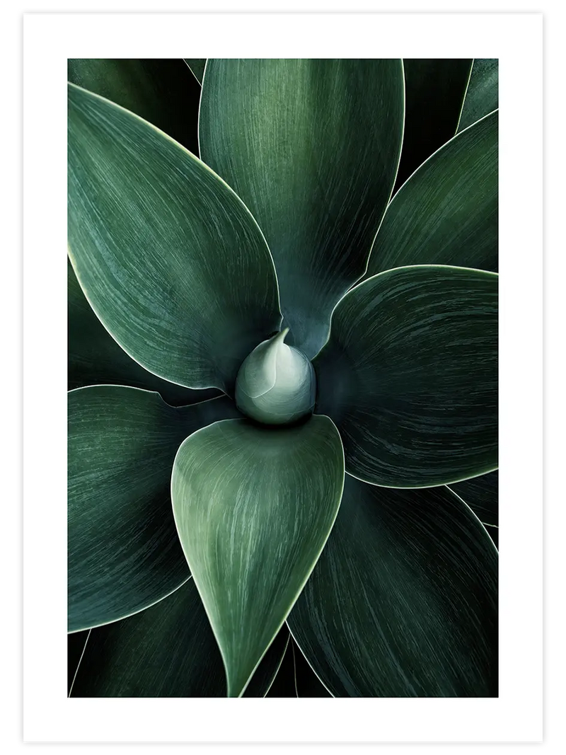 Doğanın Sanatı - Art Print Fotoğraflar Poster